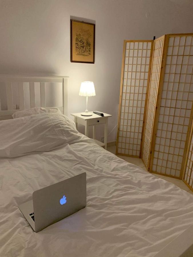 Apartmán Ευημερία Ándros Exteriér fotografie